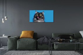Obraz na plátne Oblizujący mačka 125x50 cm