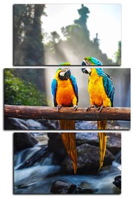 Obraz na plátne - Modro žlté Macaw - obdĺžnik 7232C (90x60 cm)