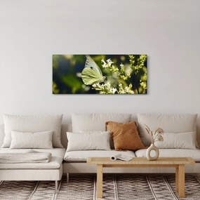 Obraz motýľa (120x50 cm)