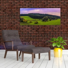 Obraz lúky (120x50 cm)