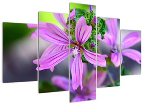 Detailný obraz kvetiny (150x105 cm)