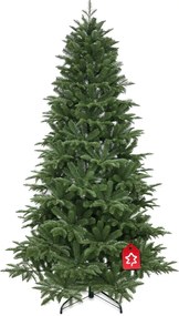 Jedľa Kaukazská 100% 210 cm