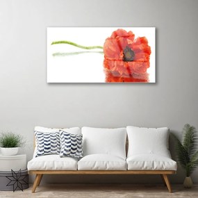 Obraz plexi Kvety príroda 100x50 cm