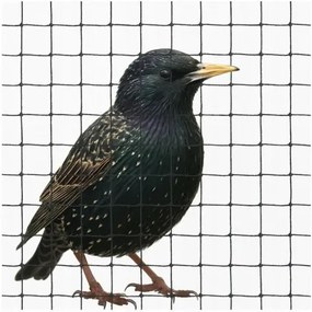 Sammer Ochranná sieť proti vtákom na balkón a záhradu 4x5 m – čierna vtak4x5