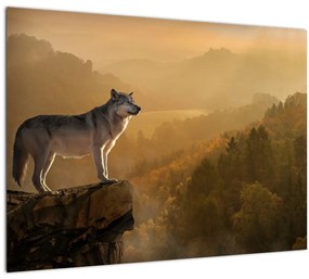 Sklenený obraz vlka na skale (70x50 cm)