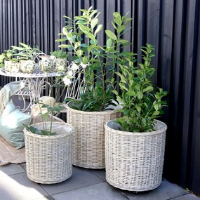Chic Antique Prútený obal na kvetináč na kolieskach French L