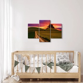 Obraz poľa pri západe slnka (90x60 cm)