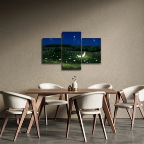 Obraz - Padajúce nebo (90x60 cm)