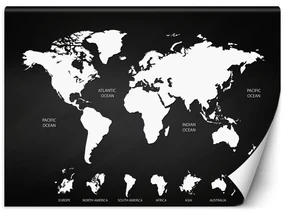 Gario Fototapeta Čiernobiela mapa sveta Materiál: Vliesová, Rozmery: 250 x 175 cm