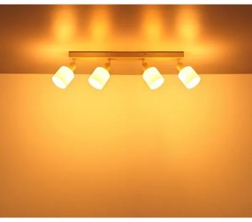 Globo 54114-4 - Bodové svietidlo TRENT 4xE14/25W/230V