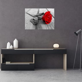 Sklenený obraz červených ruží (70x50 cm)