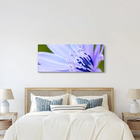 Obraz - kvet (120x50 cm)