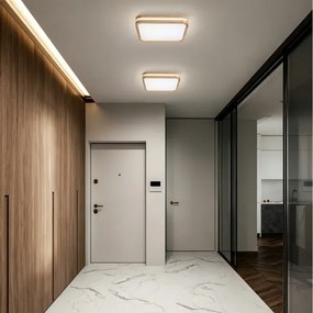 BRILAGI -LED Stropné svietidlo MOLINA SQUARE LED/32W/230V 3000/4000/6000K dub 30x30 cm