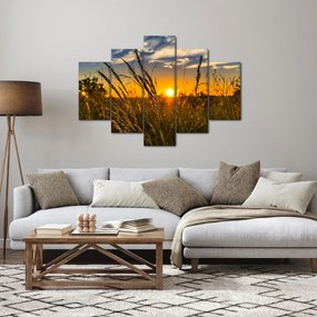 Obraz pole pri západe slnka (150x105 cm)