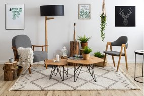 Dywany Łuszczów, Kusový koberec Berber Asila B5970 cream and brown, 120x170, béžová, obývacia izba