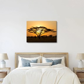 Obraz - Africká savana (70x50 cm)