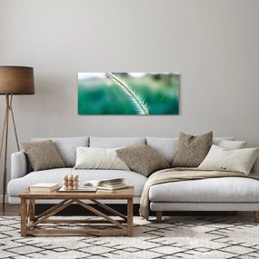Obraz steblá trávy (120x50 cm)