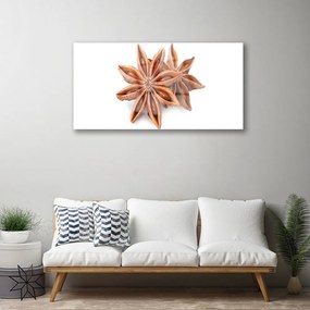Skleneny obraz Aníz hviezda príprava 125x50 cm