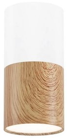 Stropné svietidlo TUBA 1xGU10/50W/230V biela