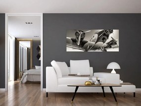 Obraz - Historické lietadlo (120x50 cm)