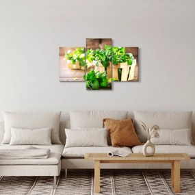 Obraz čerstvej mäty (90x60 cm)