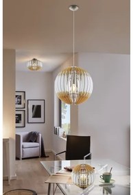 Eglo 32844 - Stropné svietidlo OLMERO 1 1xE27/60W/230V