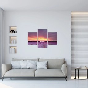 Obraz - Levanduľové pole (90x60 cm)