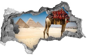 Fotoobraz diera na stenu Camel v káhire nd-b-93235803