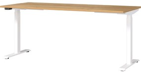 Pracovný stôl s elektricky nastaviteľnou výškou s doskou v dekore duba 80x180 cm Jet – Germania