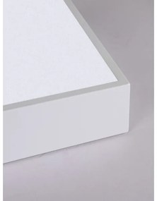 Immax NEO 07238L - LED Stmievateľné stropné svietidlo CANTO 22W/230V biela Tuya +DO