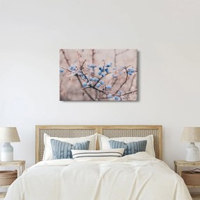 Obraz bobúľ na kríku (90x60 cm)