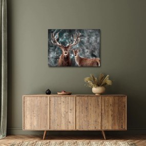Obraz - Jeleň a laň v zasneženom lese (70x50 cm)
