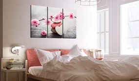 Obraz - Zen: Cherry Blossoms II Veľkosť: 120x80, Verzia: Premium Print