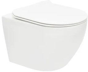 Wc s doskou softclose závesné so zadným odpadom WC01R