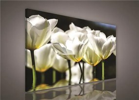 Obraz na stenu biele kvety 100 x 75 cm