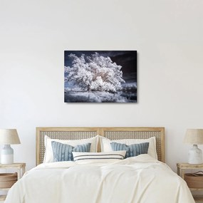 Obraz - Snehobiely strom (70x50 cm)