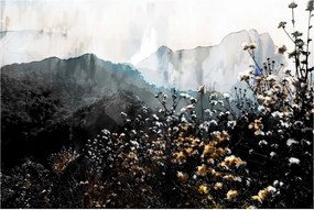 Obraz - Ilustrácie divokých kvetov (90x60 cm)