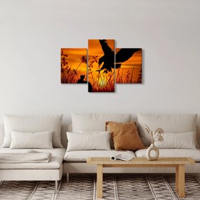 Obraz siluety dravca (90x60 cm)