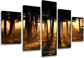 Obraz na stenu STROMY