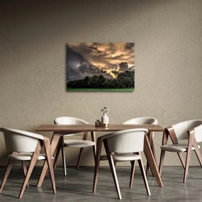 Obraz mračien a lesa (70x50 cm)