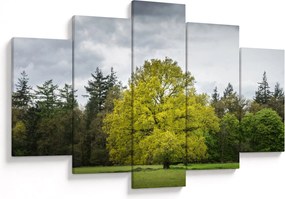Obraz zeleného stromu uprostred poľa (150x105 cm)