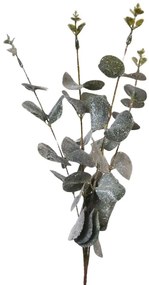 Eukaliptus 59cm A2040019