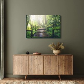 Obraz - drevené schody v lese (90x60 cm)