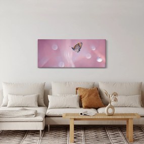 Obraz - Motýľ (120x50 cm)