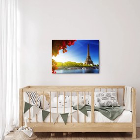 Obraz - jeseň v Paríži (70x50 cm)