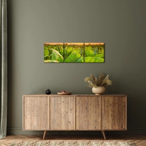Obraz - Pole (s hodinami) (90x30 cm)