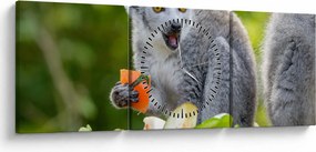 Obraz lemura (s hodinami) (90x30 cm)