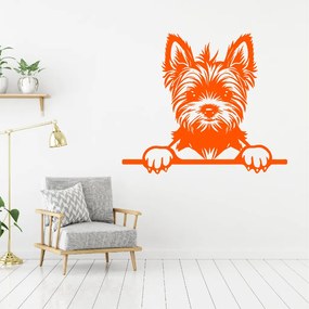 Veselá Stena Samolepka Yorkshirský teriér Farba: oranžová, Veľkosť: 60 x 51 cm