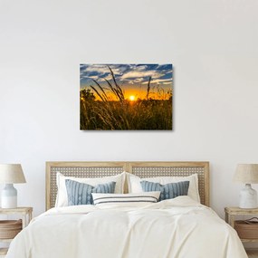 Sklenený obraz pole pri západe slnka (70x50 cm)