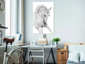 Obraz - White Horse (1 Part) Vertical Veľkosť: 40x60, Verzia: Na talianskom plátne